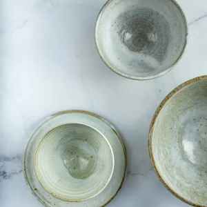 Dinner Plates, Set of 4